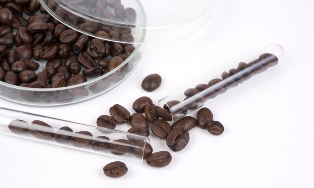 Caffeine vs Theobromine: What’s the Difference?
