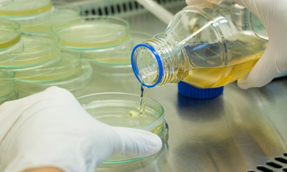 Minimizing Health Risks Around Volatile Organic Compounds